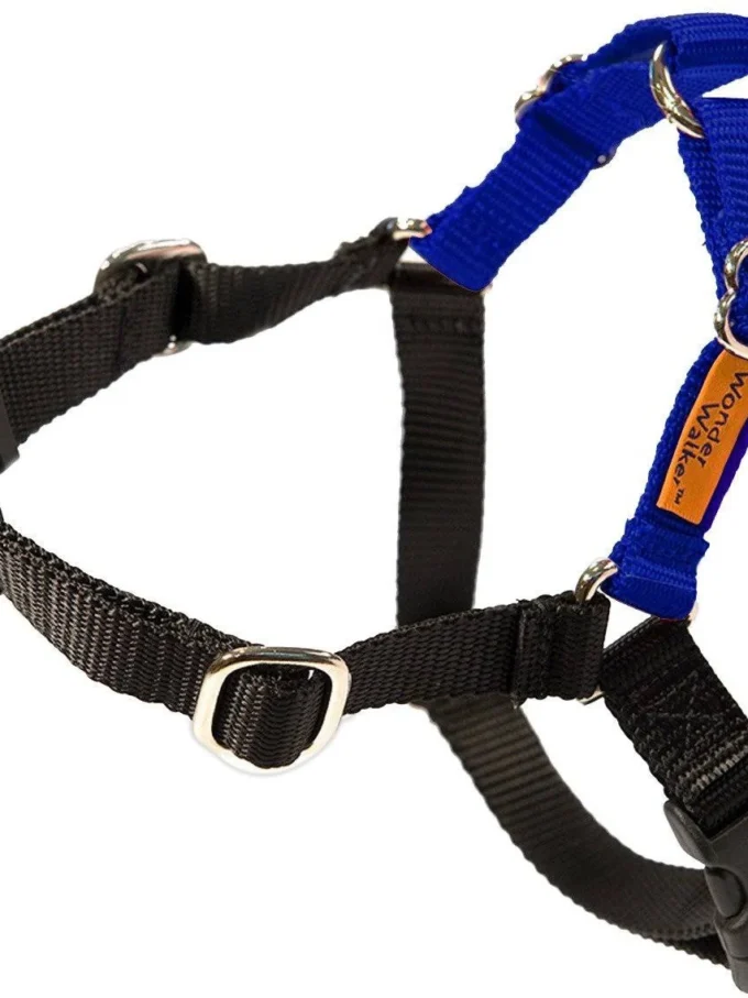 Wonder Walker Body Halter Dog Harness - Medium (1x22) Dolan Royal Blue