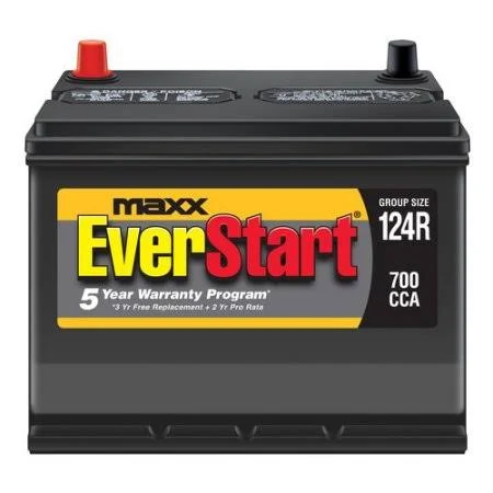 Everstart Maxx Lead Acid Automotive battery, Group 124R
